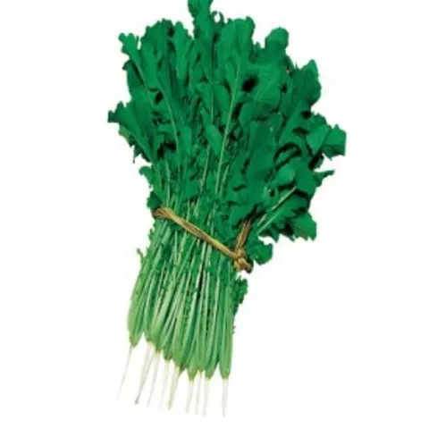 진보리 열무 채소 식물 씨 품종 종자 씨앗 20g (WFGSL8F)