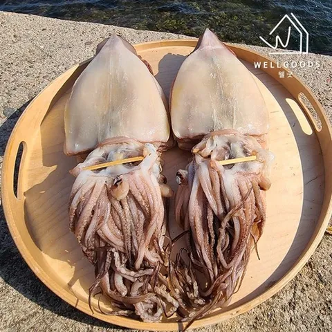 [웰굿] 쫄깃한 반건조 오징어 10미(1.2kg내외,중,원양산)