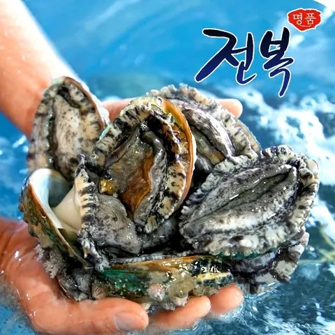 [산지직송] 완도 활전복 특대 12미(마리당 81~90g) 전복세트 완도 전복 선물