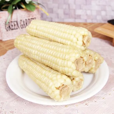 [수확후바로삶은] 괴산 대학찰옥수수 12개(3개씩포장)_2세트시1팩증정