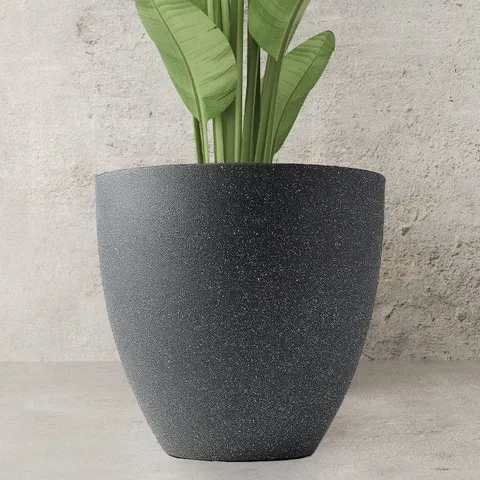 실내 화분 인테리어 좋은 화초 (WFHRQNF)