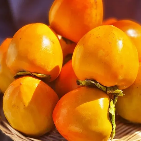 부드럽고 달콤한 고당도 대봉감 5kg 중과 (20과내외)