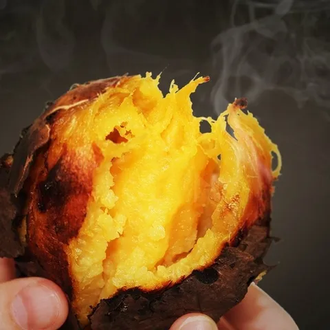 25년 햇 소리팜 해남 꿀고구마 / 호박고구마 10kg (중상)