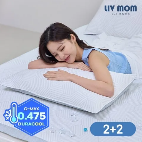 리브맘 아이스냉감 육각셀 베개커버 2+2 40x60