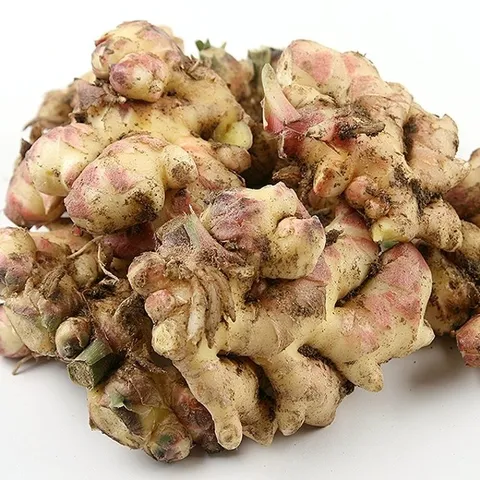 흙생강 특품 1kg