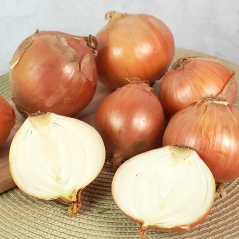 국내산 단단한 햇 양파 10kg (중)