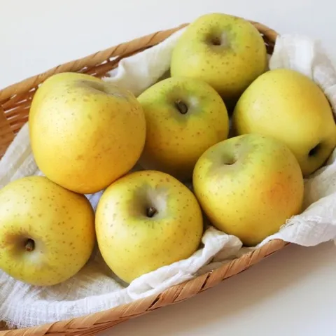 경북 시나노골드 황금사과 가정용 한입 3kg(20과 내외)