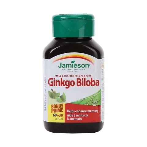 자미에슨 징코빌로바 400mg x 90캡슐 x2병