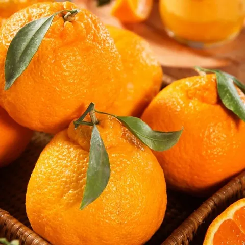 [제주직송] 가정용 한라봉 4.5kg (10-15과내외) / 2개 구매시 1kg 추가증정