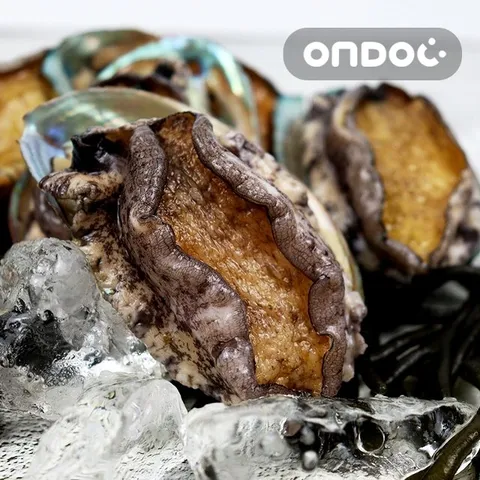 [온도씨]완도 활전복 10-11마리 1kg (대) 실속포장