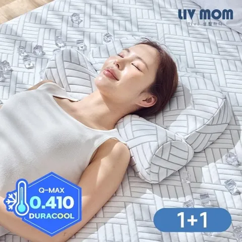 리브맘 메모리폼 아이스쿨링 냉감 바른자세 경추베개 1+1