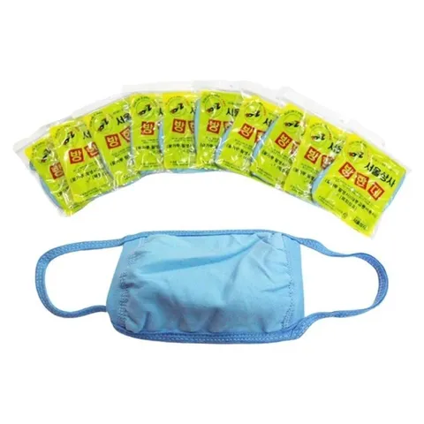 면마스크 방한대 스타일 청색 10장 패션 고품질 일반 (WFG8TSD)