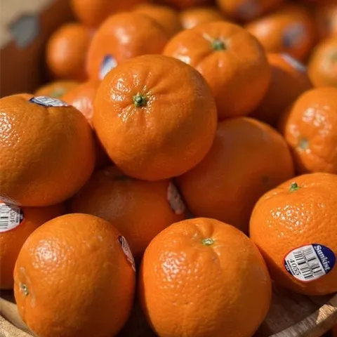 고당도 미국산 만다린 귤 2.5kg