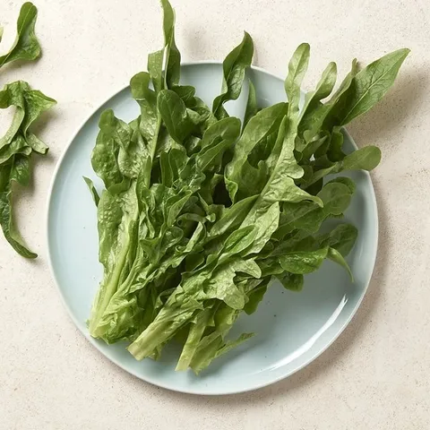 [새벽시장][우리가락]오크(오클립) 250g