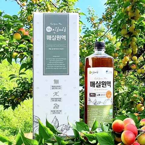 [광양진실매실] 진실매실 매실원액 1000ml x 1병