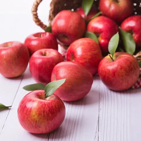 가정용 부사 사과 10kg 꼬마소과