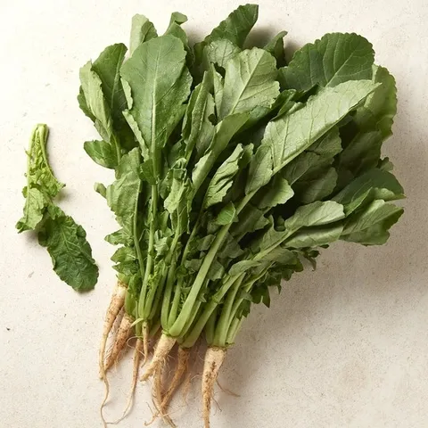 [새벽시장][우리가락]열무 1단