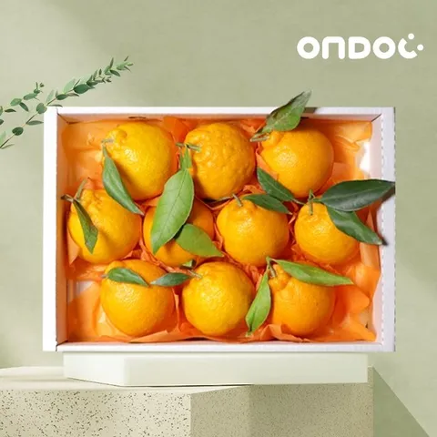 [온도씨]제주 한라봉 선물세트 2.5kg 소과 (15-20과내외)