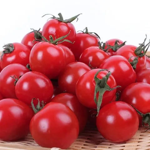 [팜쿡] 스테비아 방울토마토 500g 3팩