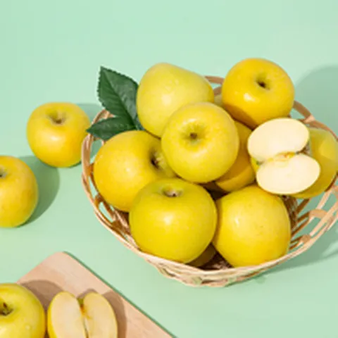 황금사과 시나노골드 가정용 5kg 25-28과