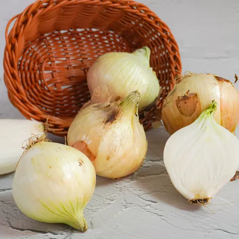 [미식한가] 무안 햇양파 특대 10kg