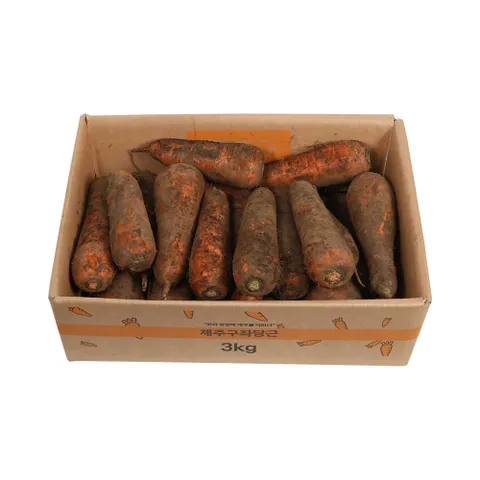 [삼다몰]제주 구좌 당근 3kg 5kg 10kg