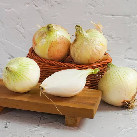 [미식한가] 무안 햇양파 특대 5kg