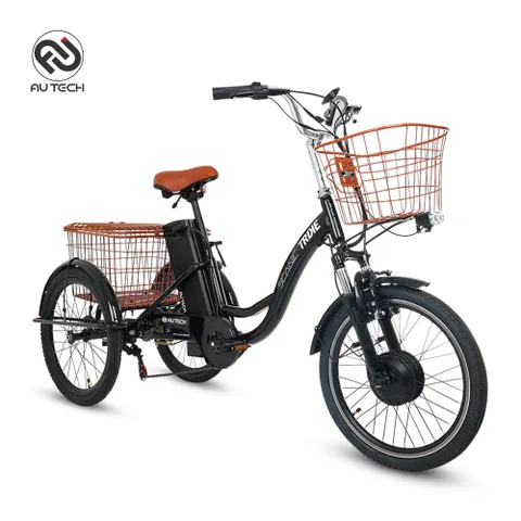 AU테크 스카닉 트라이크 성인 세발 어르신 삼륜 바구니 여성 전기 전동 자전거 48V