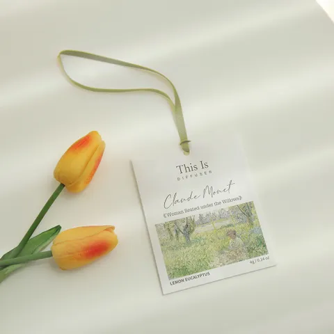 사쉐 디퓨저 걸이형 종이방향제 (6개향) 실내 옷장 신발장 자동차