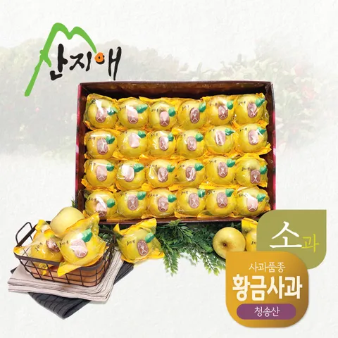 씻어나온 어린이 골드 꿀사과 5kg 1box / 청송산 시나노골드, 당도선별