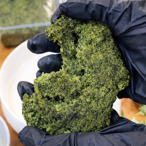 쑥설기 진도 해풍 쑥떡 카스테라