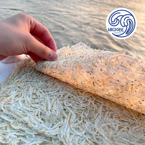 서해안 햇 뱅어포(상급) / 뱅어포조림 실치포