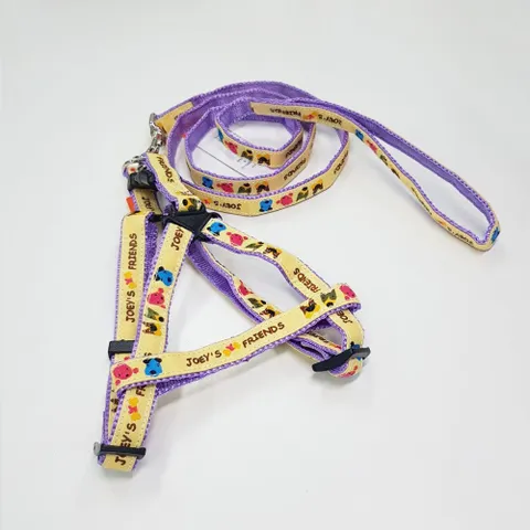 펫츠컴퍼니 X반도세트 15mm 색상랜덤