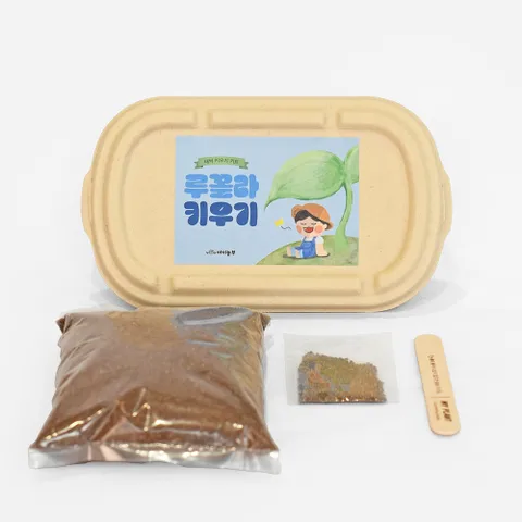 [마이플랜트] 아이농부 새싹키트 루꼴라 어린이 채소 새싹 키우기