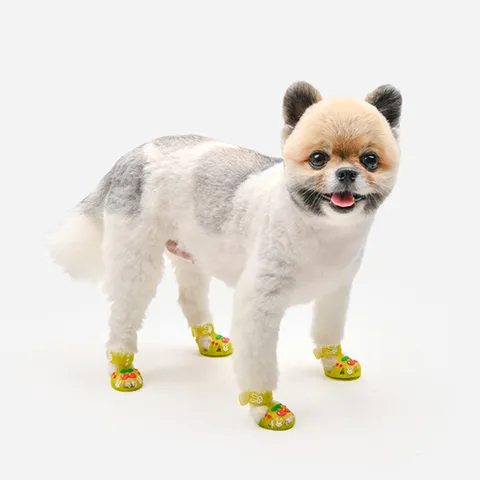 올치 깡총 젤리 슈즈_SH6789