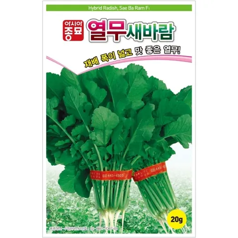아시아종묘 씨앗 열무 새바람 20g
