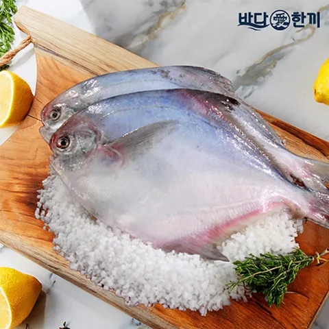 바다애한끼 손질병어 300g 5팩