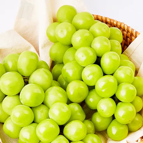 달콤아삭 고당도 샤인머스켓 1kg 2kg