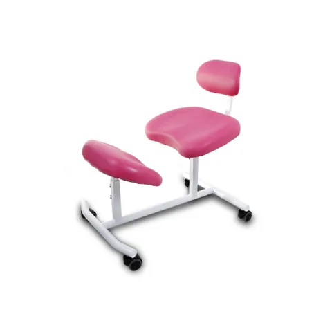 라인에스 자세교정 무릅의자 사무실 학생 기능성 의자 CC01