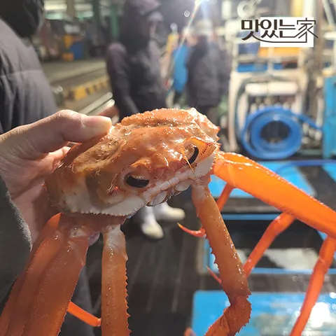 [수율보장] 동해안 자숙 박달홍게 A급 S급 택 1