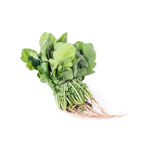 알티피아 신일산 열무 야채 채소 식물 씨 종자 품종 씨앗 500g 종자판매 여주씨앗 씨앗판매