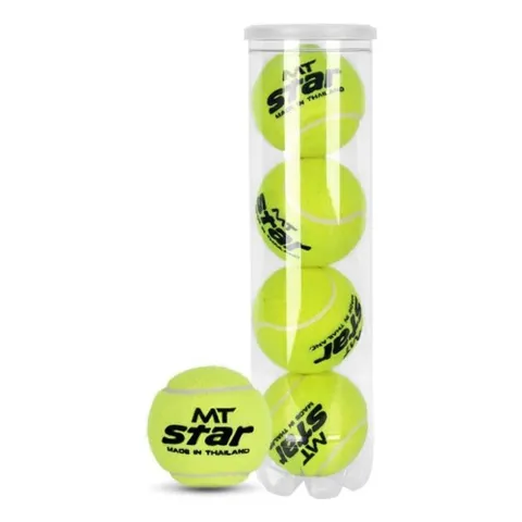 테공 스타 메이저 투어 스타테공 메이저투어볼 테경기용 1캔 테니스연습구 테니스시합구