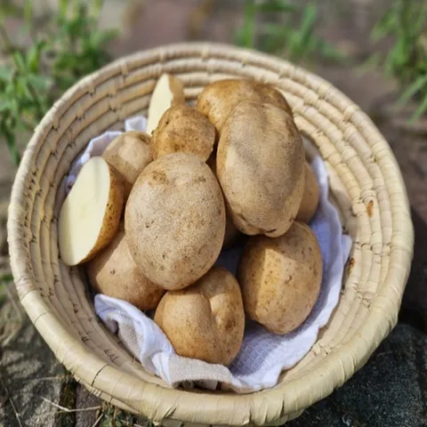 국내산 햇 수미 감자 3kg (특/110~160g)