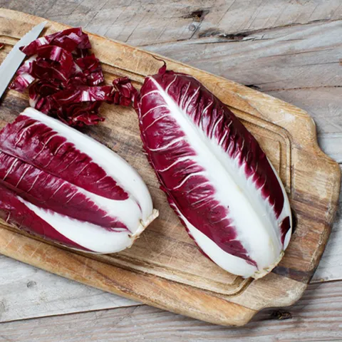 여주씨앗 식용 트레비소 셀러드 야채 채소 씨 종자 씨앗 1000립