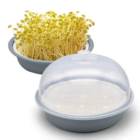 원형 새싹재배기 그레이 초록콩나물 재배기 교육용 초록콩나물 유기농재배기 새싹용기