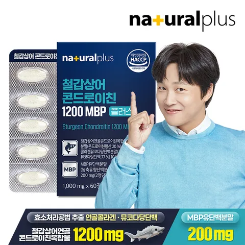 철갑상어 콘드로이친 1200 MBP 플러스 60정 1박스 / 뮤코다당단백 유단백분말