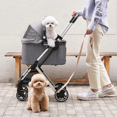 [초.특.가50%] 비비 M 분리형 강아지유모차 개모차(+비비전용 레인커버+유모차 목줄 증.정)