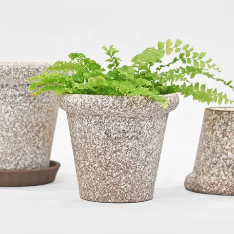 마이플랜트 로자리안 스노우 슈가팟 분갈이 미니 국산 화분 인테리어 토분