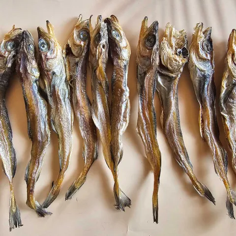 건어물 말린 명태 노가리 22cm 내외 20미