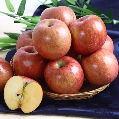 산골 빨간사과 꿀사과 1~8kg